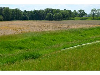 Property photo 2 - FARM & LAND AUCTION - 125+/- ACRES OFFERED IN 5 TRACTS IN EAST ALLEN COUNTY, INDIANA